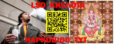 трава Кандалакша