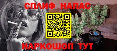 трава Кандалакша