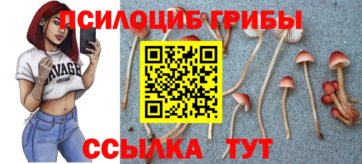 Псилоцибиновые грибы GOLDEN TEACHER Балашов